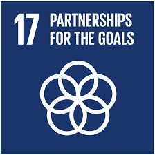 SDG 17